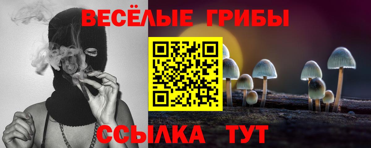 A PVP Кохма