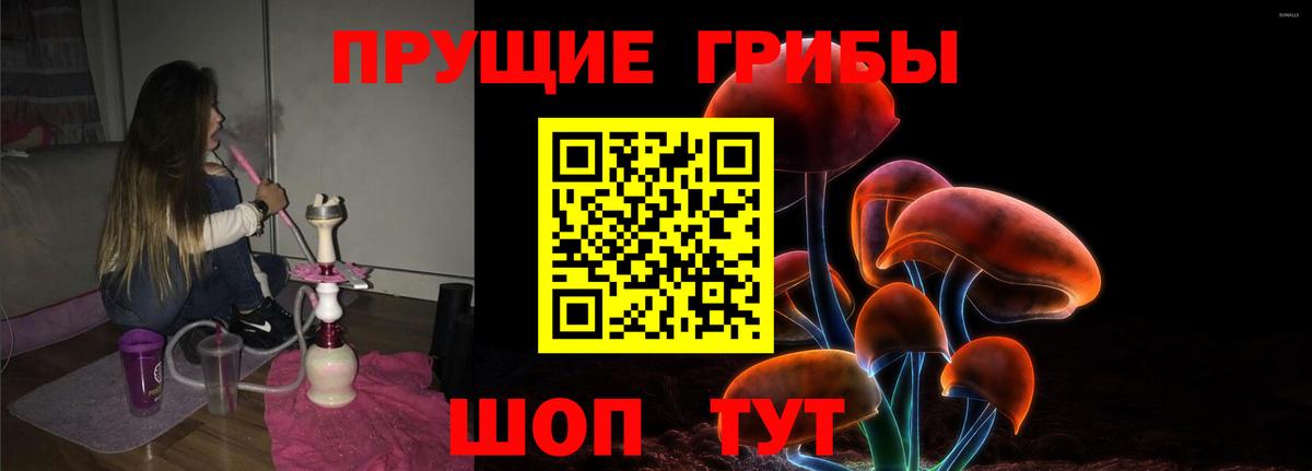 Кохма  Галлюциногенные грибы GOLDEN TEACHER  Вход с VPN 
